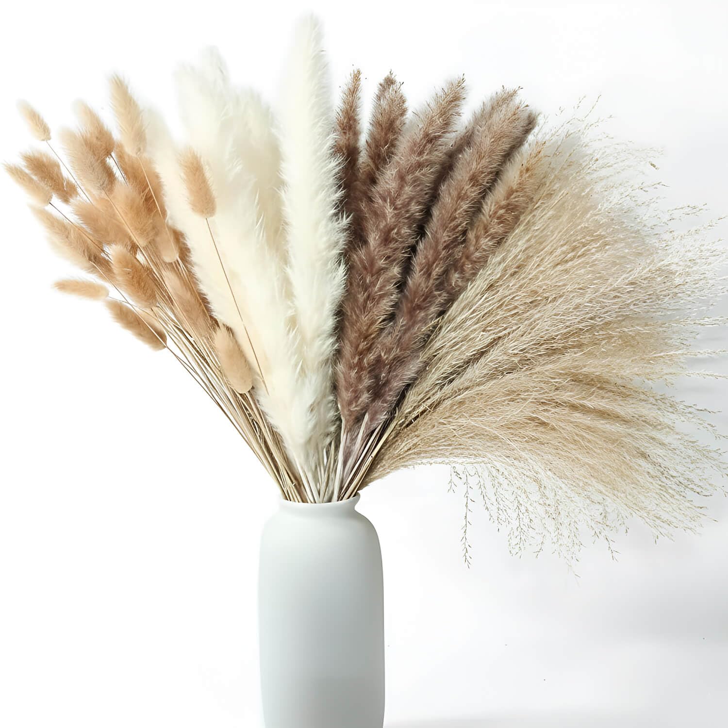 tied ribbons set of 100pcs natural dried pampas grass contains real rabbit bunny tail reed pampas boho bouquet artificial flowers for table vase, party wedding & home decoration product description (17 inch length) tied ribbons set of 100pcs natural dried pampas grass contains real rabbit bunny tail reed pampas boho bouquet artificial flowers for table vase, party wedding & home decoration product description (17 inch length)